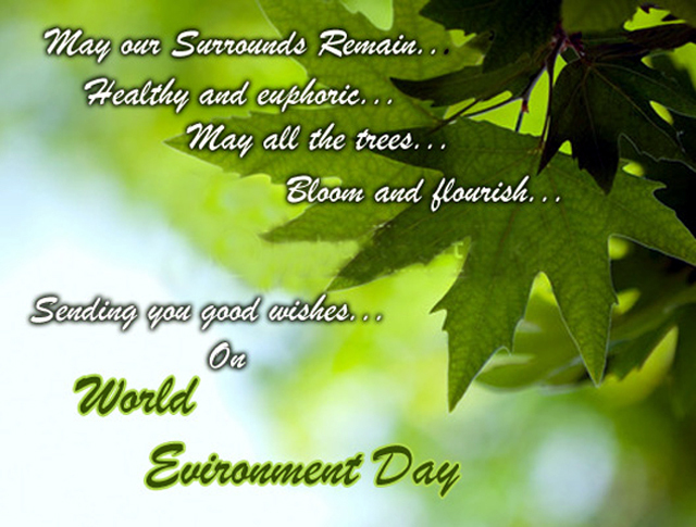 World environment day Wallpapers